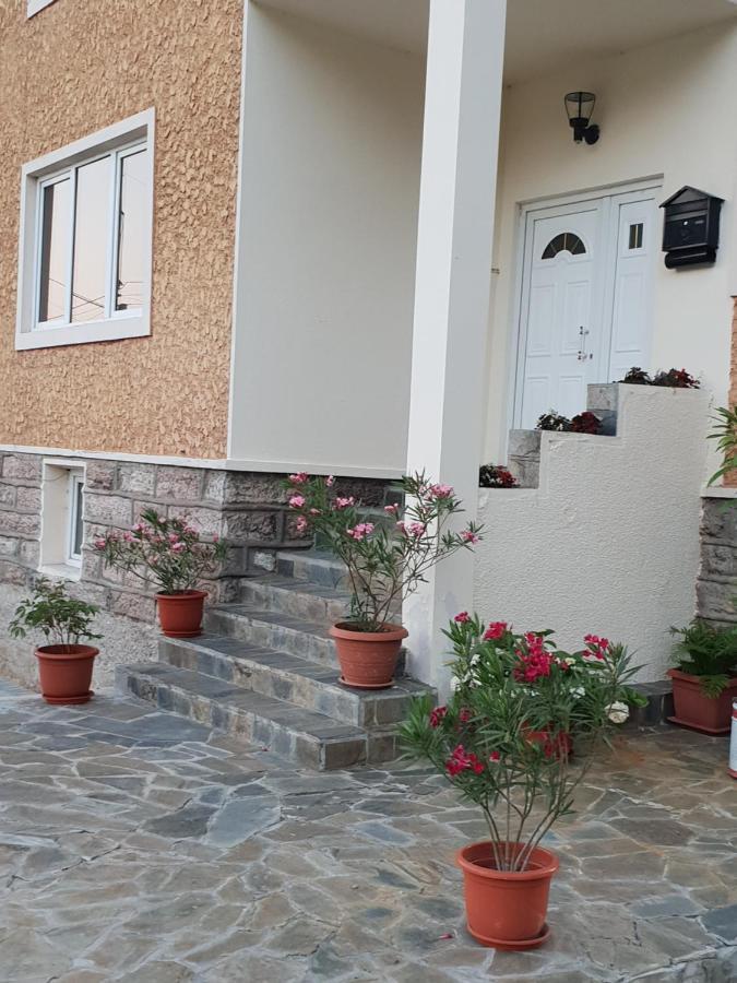 Pretty Garden Villa Orsova Exterior photo